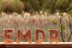 letters,emdr,cut,out,of,wood.,small,forest,pond,with