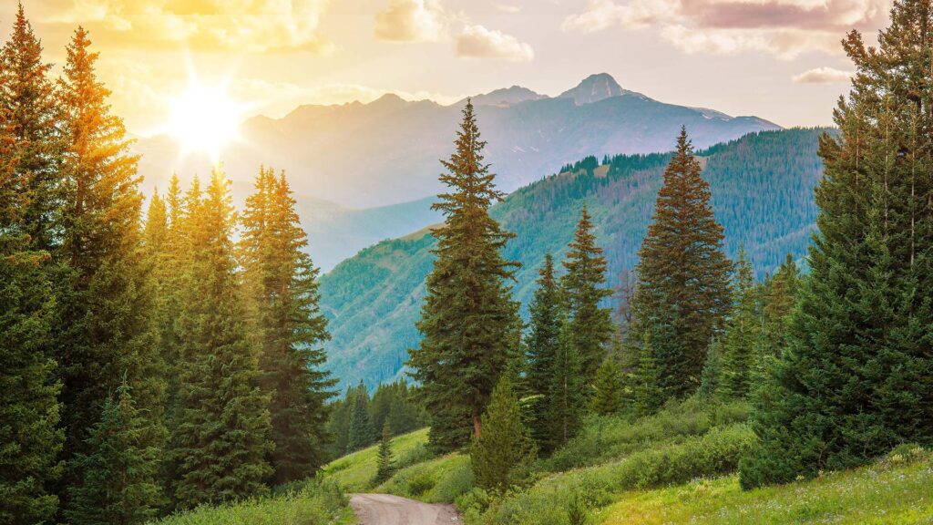 image of sunset overlooking mountains and evergreen trees